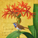Takeo Soma Gallery